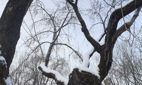 прогноз погоды в амурской области на 5 марта