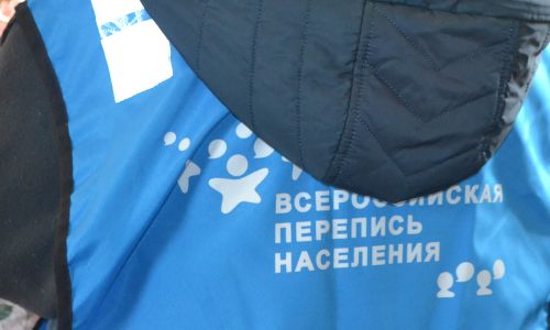 более четверти жителей рф прошли всероссийскую перепись онлайн
