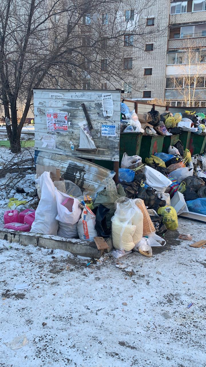 В микрорайоне Благовещенска собаки растаскивают мусор из переполненных  контейнеров по округе