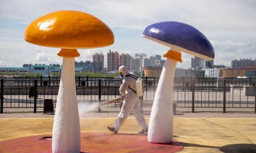 люди в костюмах на фоне грибов: как проходит санитарная обработка в амурских городах
