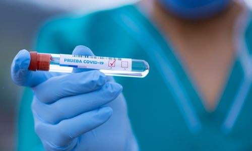 новый антирекорд: в приамурье за сутки выявили 42 заболевших коронавирусом
