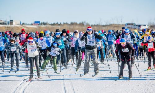«лыжня-2020» соберет около трех тысяч человек