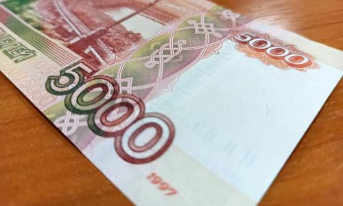 амурские семьи начали получать новые выплаты в пять тысяч рублей 
