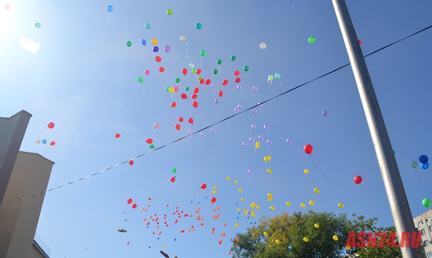 амурчан призвали отказаться от праздничных запусков воздушных шариков в небо
