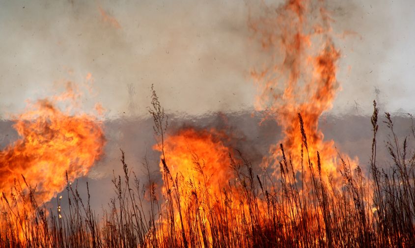 амурчанин заплатит больше 200 тысяч рублей за пожар, перекинувшийся на лес с его участка

