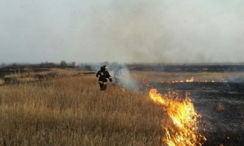 в амурской области за сутки огонь прошел территорию площадью почти 400 гектаров