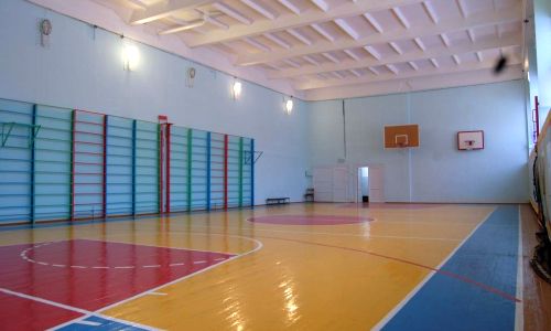 восемь спортзалов в сельских школах приамурья обновят в 2022 году