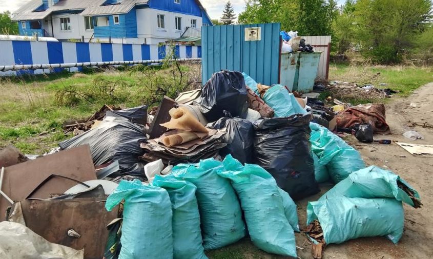 «развелось много крыс»: читатели асн24 из зеи сообщают о заваленном мусором городе
