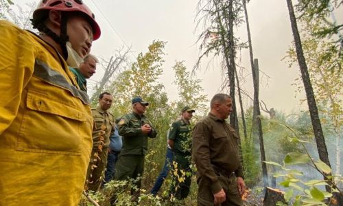 юрий трутнев предложил защищать дома от лесных пожаров спортивными площадками
