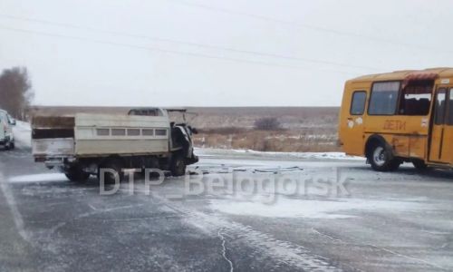 школьный автобус и грузовик столкнулись на трассе в серышевском районе