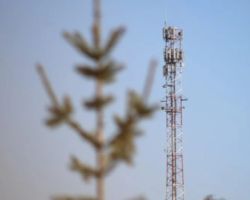 В Горном и Бомнаке МТС запустила связь 4G