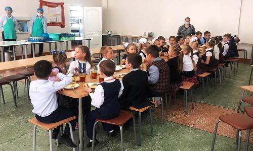губернатор амурской области предложил переоборудовать школьные столовые в кафе

