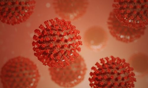 в амурской области выявлены четверо заболевших коронавирусом
