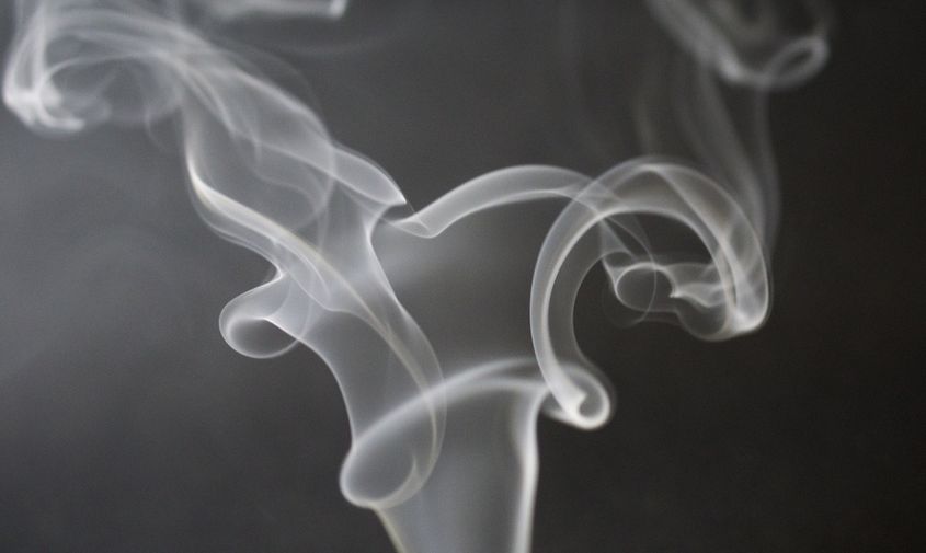 приамурье вошло в список 17 регионов рф, массово продающих нелегальный табак