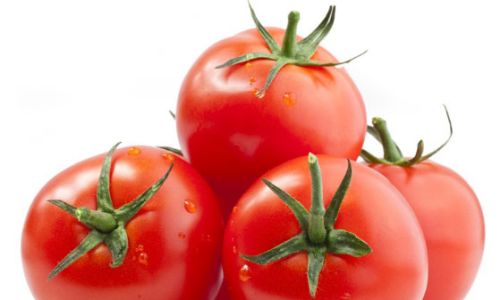 российским помидорам грозят вирусы морщинистости и увядания