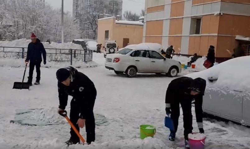 «берут в руки лопаты и идут копать»: мэр благовещенска поблагодарил горожан, которые вышли на уборку снега
