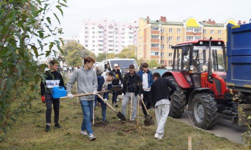 в благовещенске высадили около 300 саженцев боярышника, сирени и рябины
