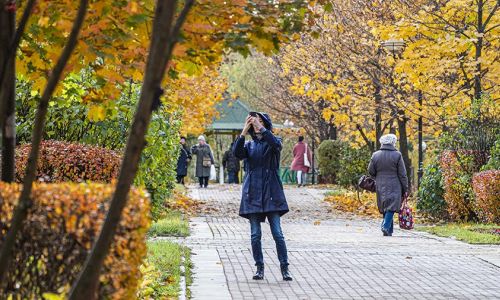 амурской области пообещали аномальное тепло
