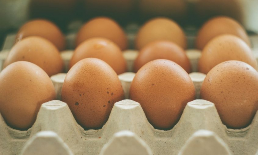 в «руспродсоюзе» сообщили о замедлении темпов роста цен на куриные яйца в россии