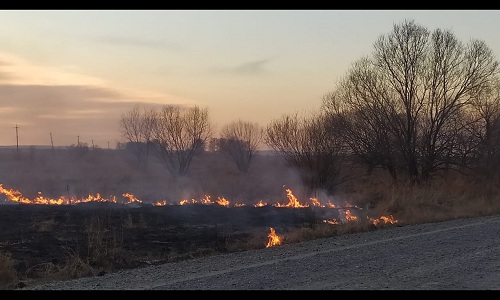 пожароопасный сезон в южных районах приамурья начнется 23 марта
