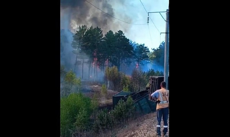 сход вагонов с углем спровоцировал природный пожар, огонь подошел близко к амурскому селу