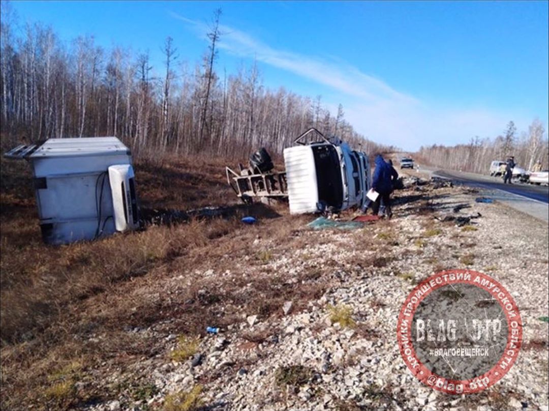 В Приамурье на трассе произошло смертельное ДТП