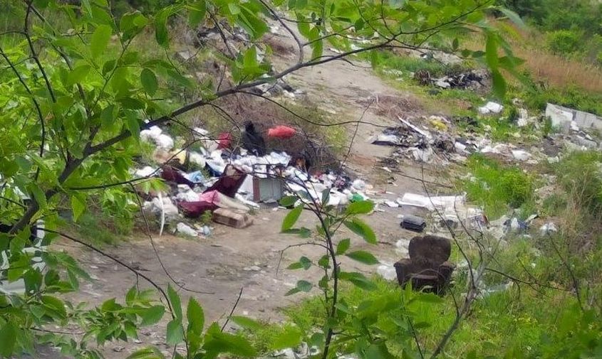 более полутора миллионов рублей штрафов заплатили за год амурчане, мусорившие в неположенных местах

