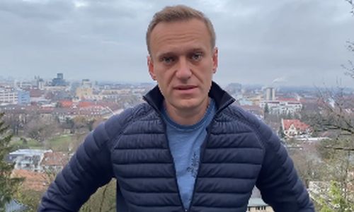 политика алексея навального задержали при въезде в россию