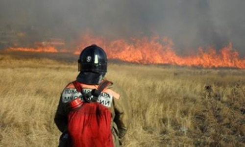 особый противопожарный режим ввели в зее, сковородинском и селемджинском районах
