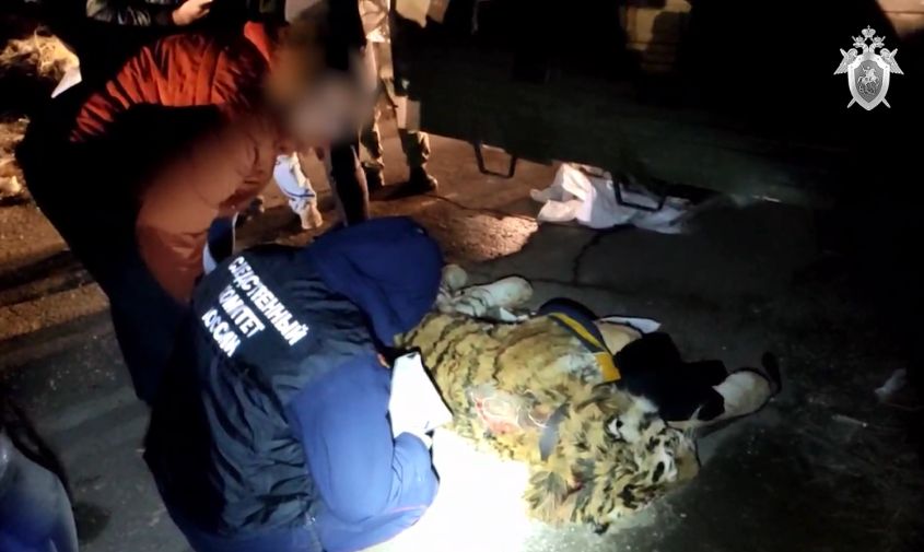 в хабаровском крае трое мужчин пытались продать тушу амурского тигра за 700 тысяч рублей
