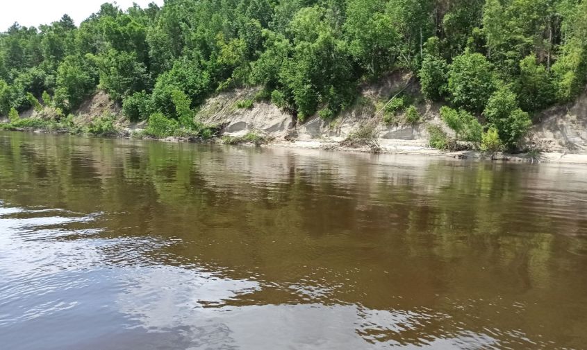 селемджа поднимается: к 19 июня в районе богословки вода может достичь отметки неблагоприятного явления 
