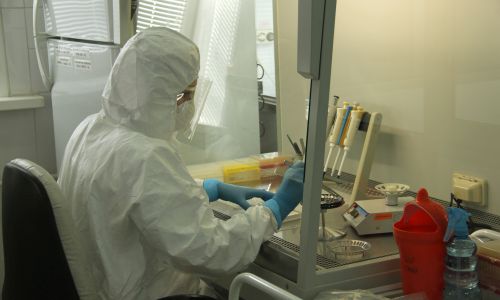 роспотребнадзор позволит частным лабораториям делать тесты на коронавирус

