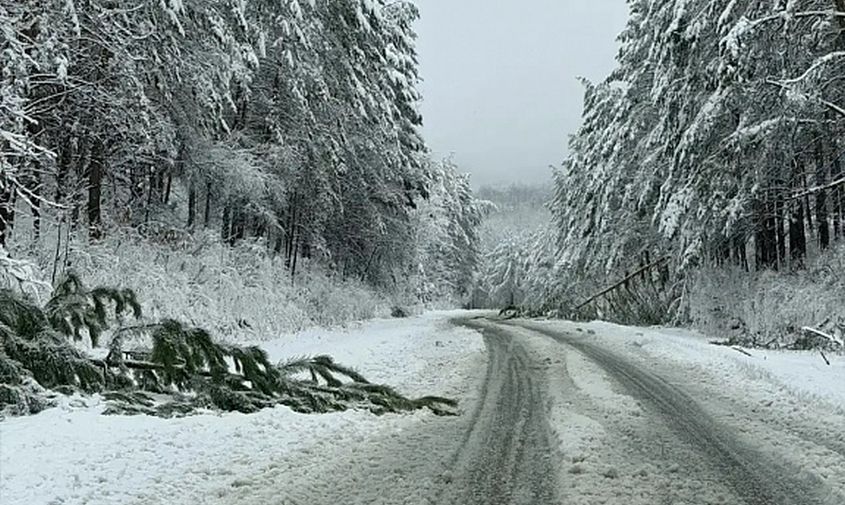 Водитель пострадал в ДТП на трассе Благовещенск — Свободный, где ранее разбушевалась непогода