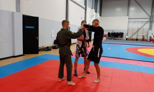 российский союз боевых искусств проведет бесплатные тренировки для амурчан