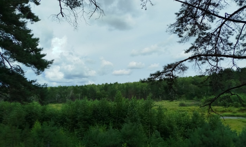 Прогноз погоды в Амурской области на 11 августа