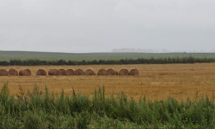 Прогноз погоды в Амурской области на 25 августа 