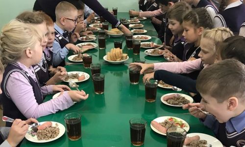 госдума приняла закон о бесплатном горячем питании для младшеклассников
