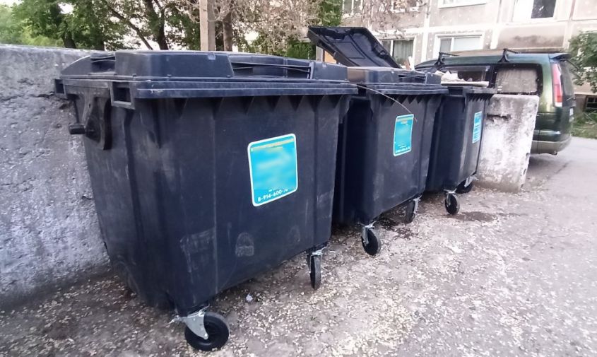 благовещенцы попросили у мэра мусорные контейнеры, до которых не доберутся ни собаки, ни ветер
