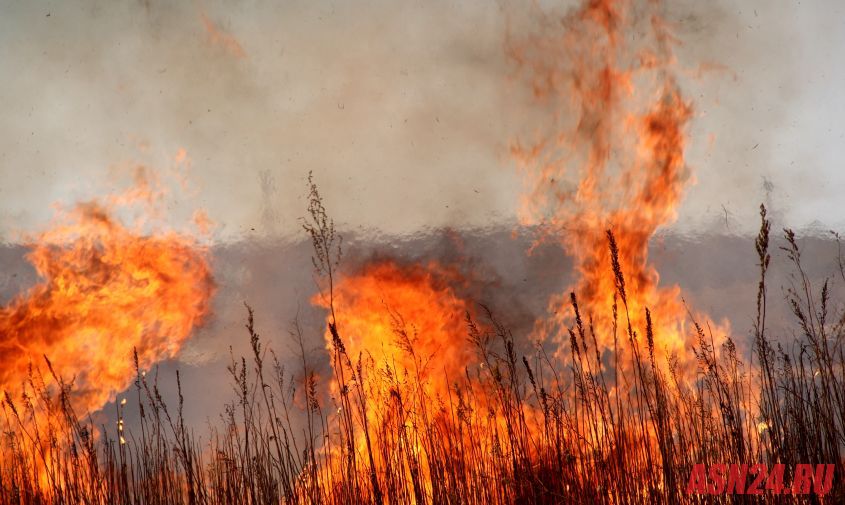 13 природных пожаров потушили в приамурье
