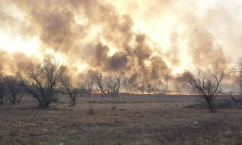 пожароопасный сезон на севере приамурья закрыт

