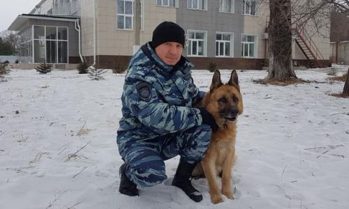 Немецкая овчарка Брюс привела полицейских к заброшенному дому, в котором скрывался преступник