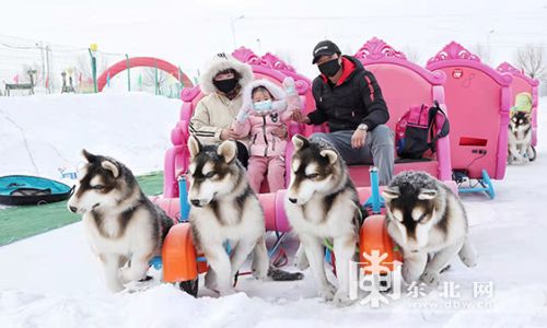 в провинции хэйлунцзян в шестой раз прошел общенародный день массовых мероприятий на тему льда и снега