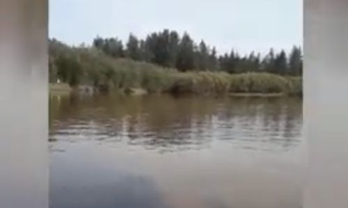 мутная вода в реке норского заповедника неприятно поразила амурчан
