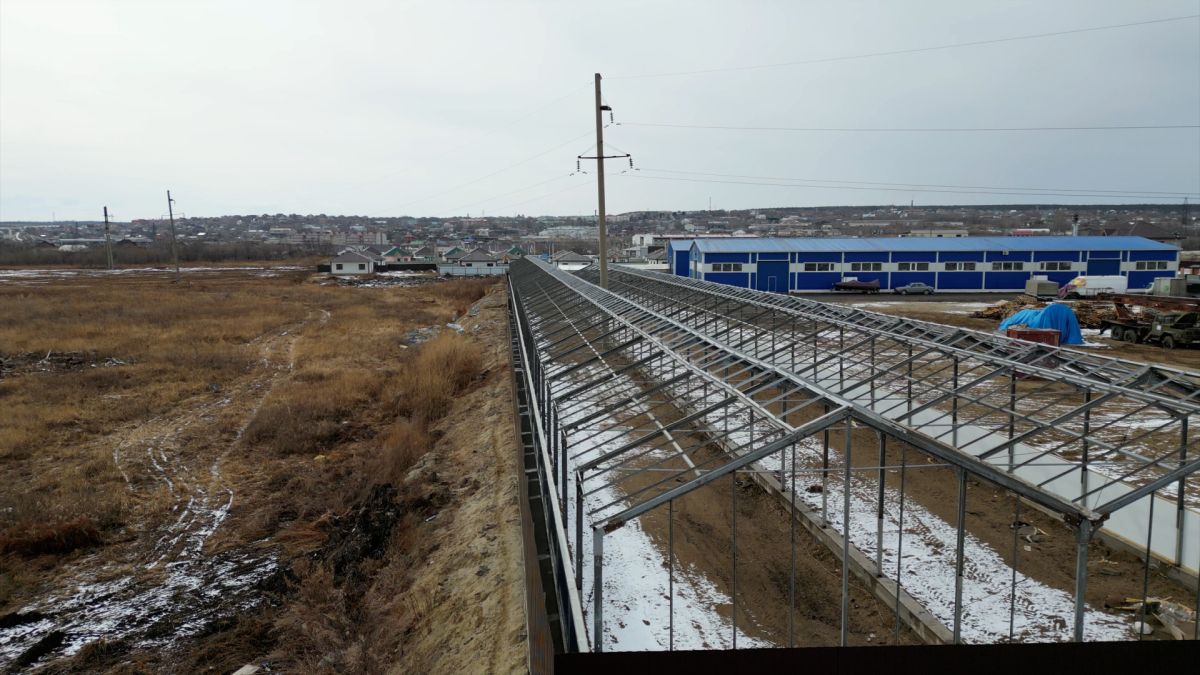 Энергетики ДРСК обратились в суд из-за вопиющего нарушения охранной зоны ЛЭП