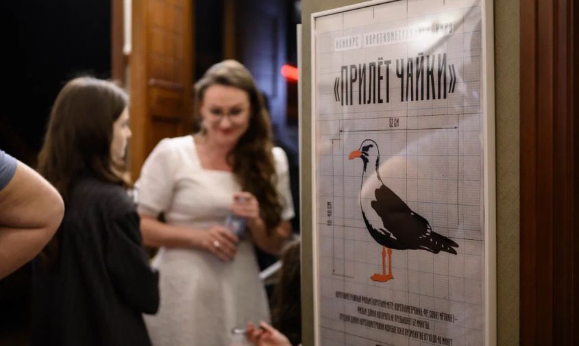 «чайка прилетела»: амурчане могут насладиться фильмами, победившими в конкурсе от мхт
