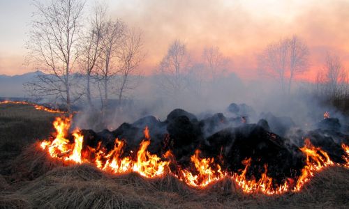 амурчанам, по вине которых возникли природные пожары и палы, придется оплатить работу лесхозов
