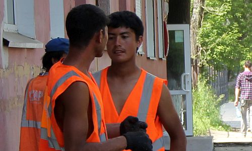 житель благовещенска «трудоустроил» в приамурье более 70 незаконных мигрантов