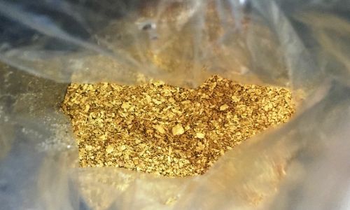 губернатор приамурья на федеральном уровне обсудил проблему золотодобытчиков-нарушителей
