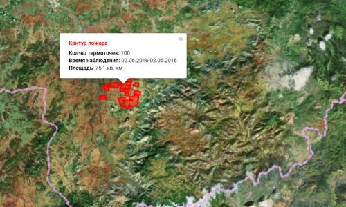 Карта пожаров в амурской области