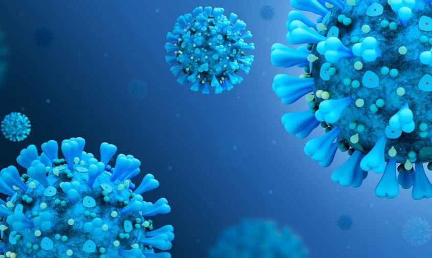 рост заболеваемости коронавирусом в амурской области связали с новым штаммом «кентавр»
